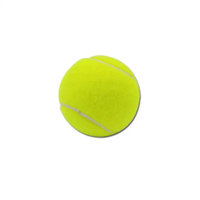 Interactive Tennis Ball Toy for Dogs
