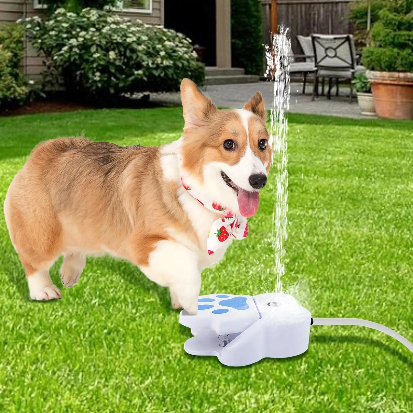 Outdoor Dog Water Dispenser pet foot fountain Step On Dog Water Fountain garden water sprinkler toy Pet Supplies for Puppies