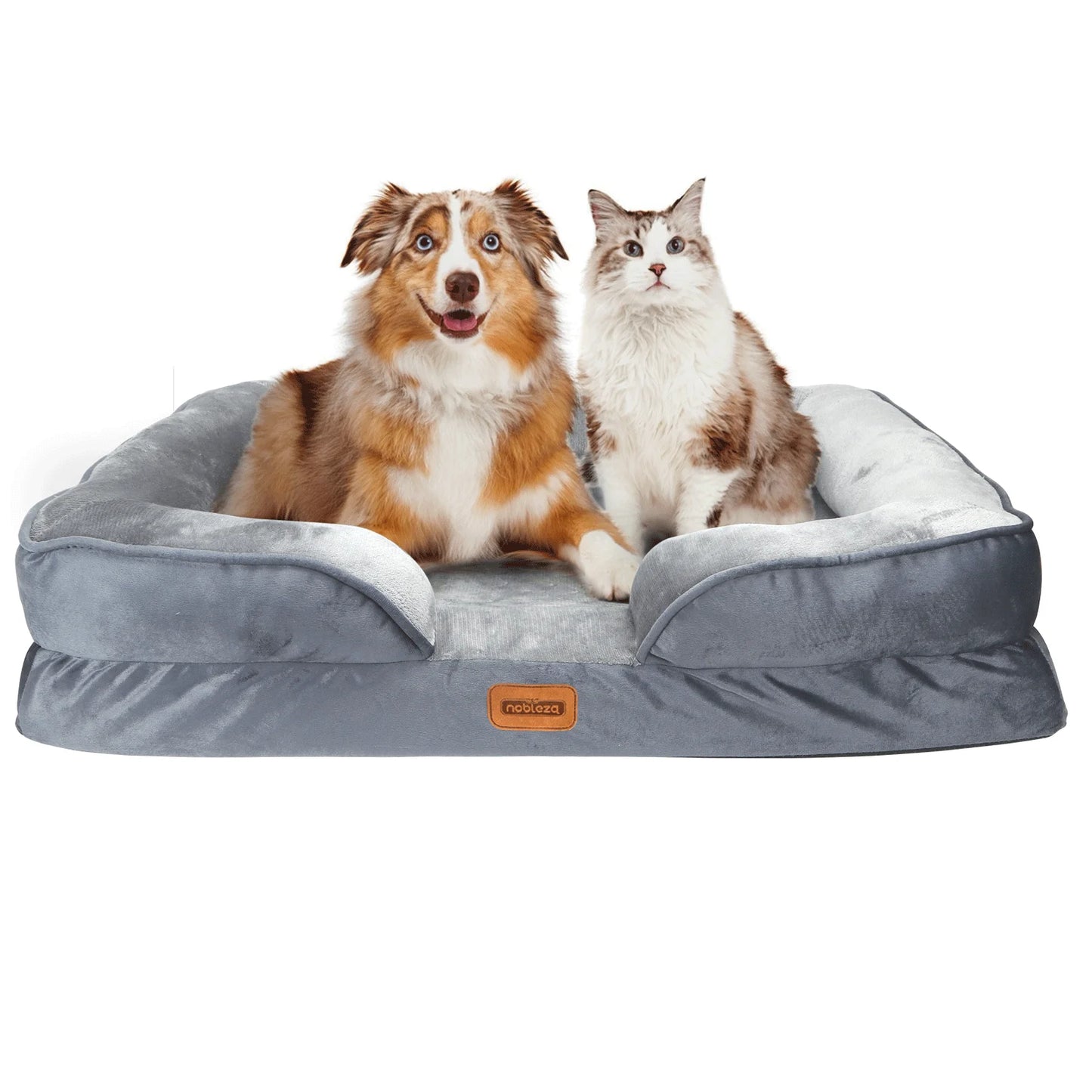 S88d639f43a0847cc96a8820c4585d26da